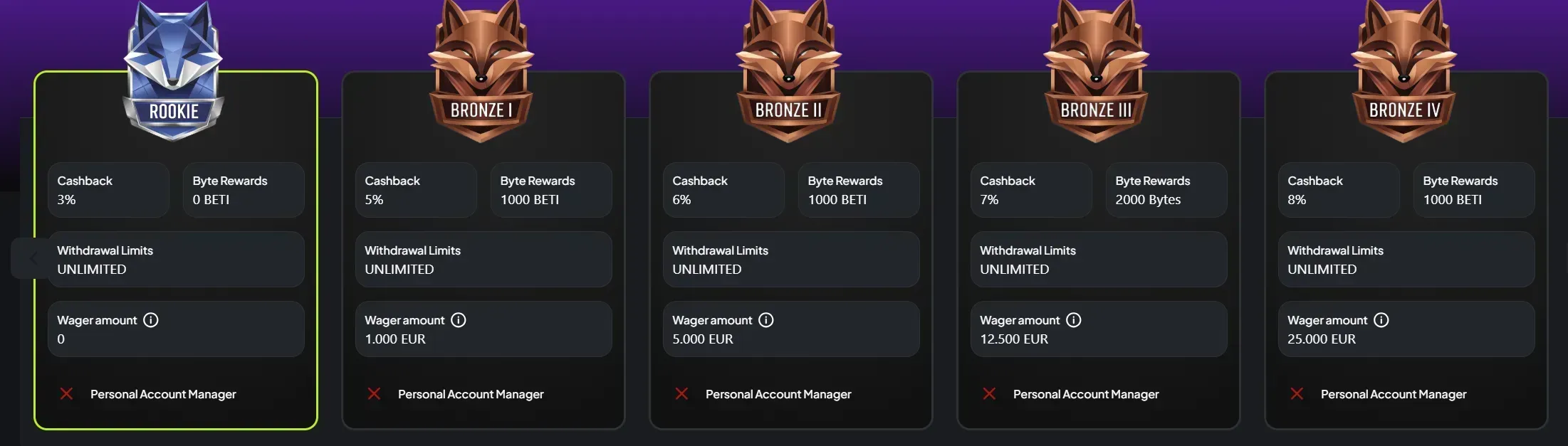 Spin Fyre VIP programma